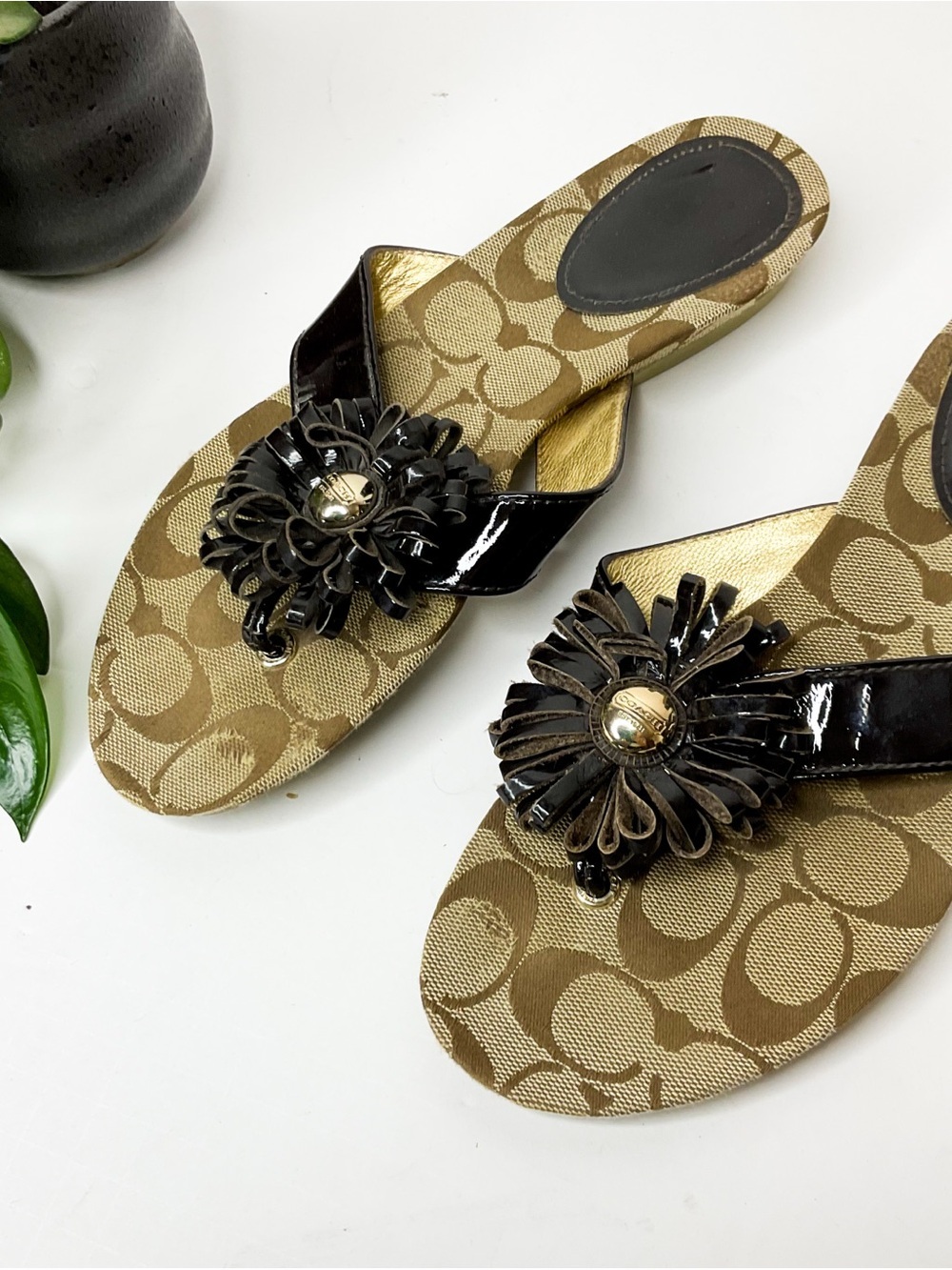 Coach Signature Canvas Thong Sandals Black Flower 9